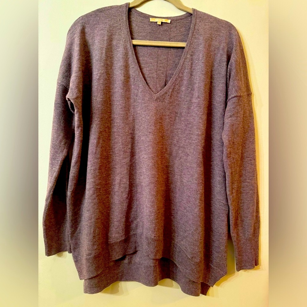Gold Hawk size M V-neck Long Sleeve light purple sweater